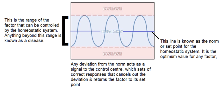 Homeostasis